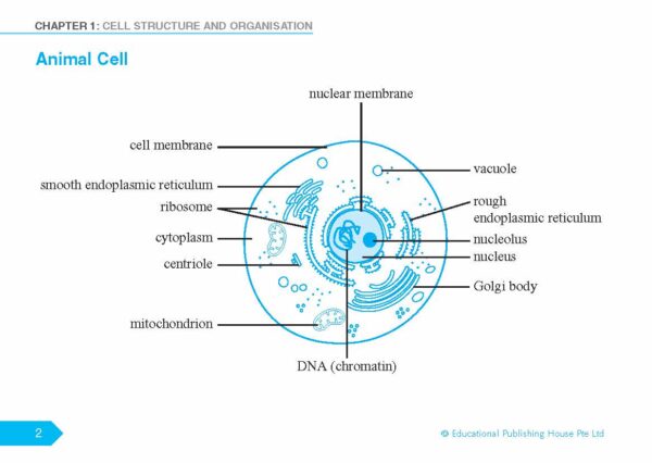 O Level (G3) Biology Quick Revision Handbook (3ED) - Image 4