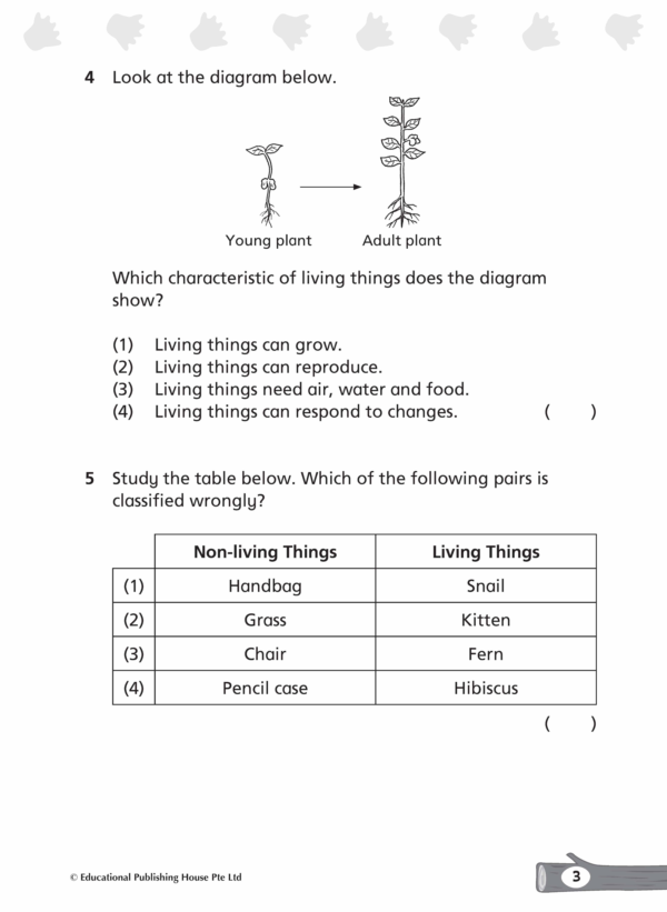 Primary 3 Complete Science Topical Tests - Image 5