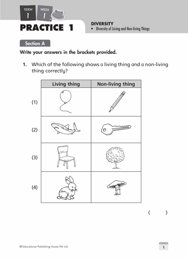 Primary 3 Science Weekly Revision - Image 4