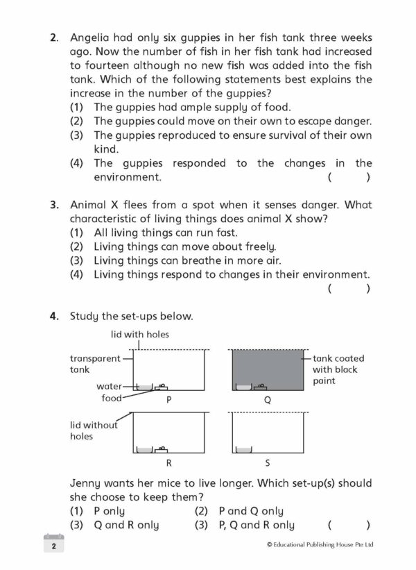 Primary 3 Science Weekly Revision - Image 5