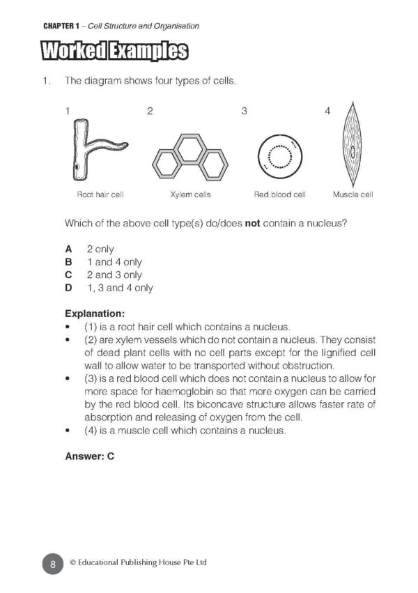 O/N Level (G3/G2) Science Biology At Your Fingertips - Image 7