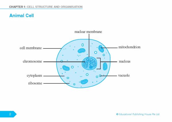 O/N Level (G3/G2) Science Biology Quick Revision Handbook - Image 4