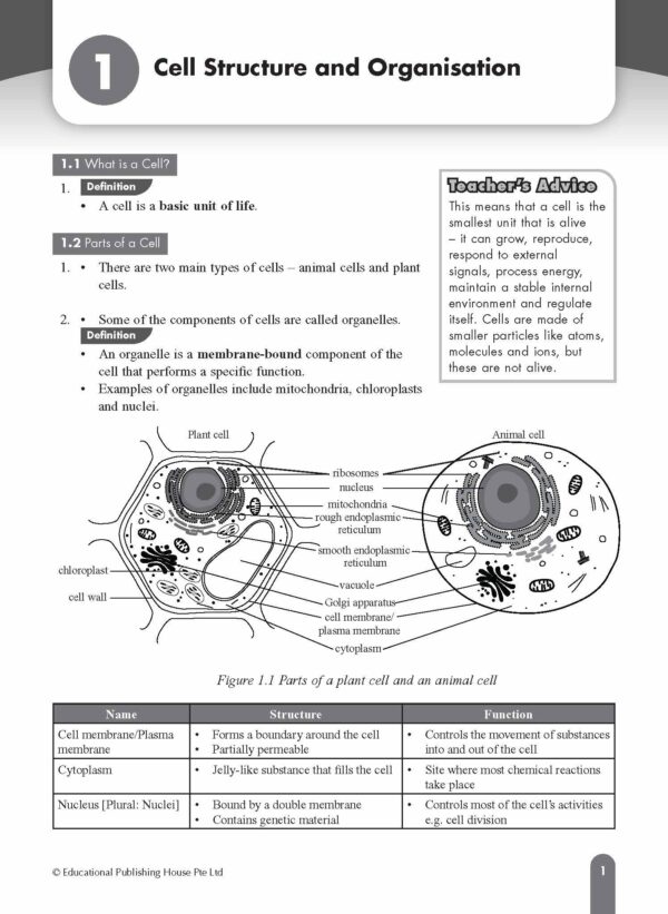 O Level (G3) Biology Fast Forward - Image 3