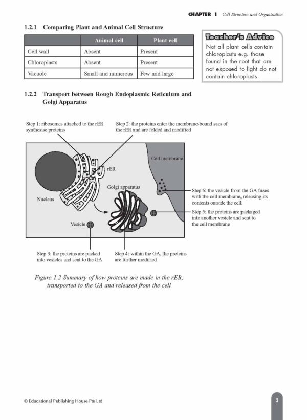 O Level (G3) Biology Fast Forward - Image 5