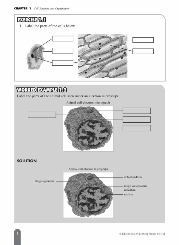 O Level (G3) Biology Fast Forward - Image 6