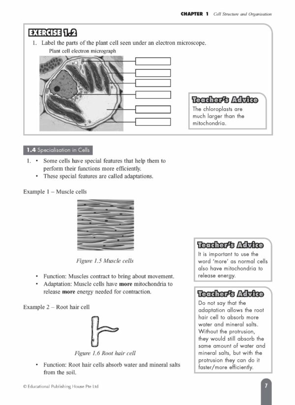 O Level (G3) Biology Fast Forward - Image 7