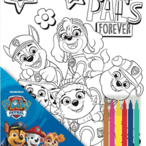 PAW PATROL CANVAS COLOURING SET 15X20CM PAWP-CVCS3